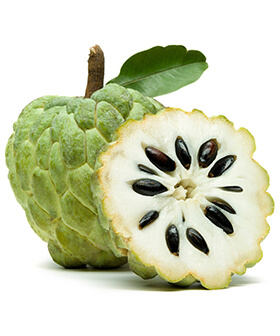 Custard Apple (APPLE)