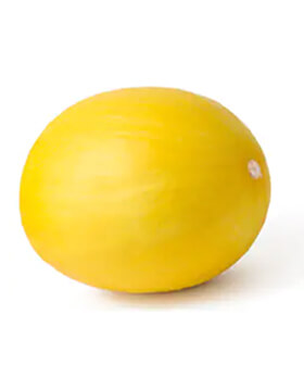 Yellow Melon